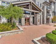 1000 Dewing Ave. Unit #316, Lafayette image
