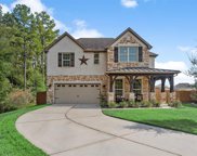 4408 Imperial Gardens Drive, Spring image