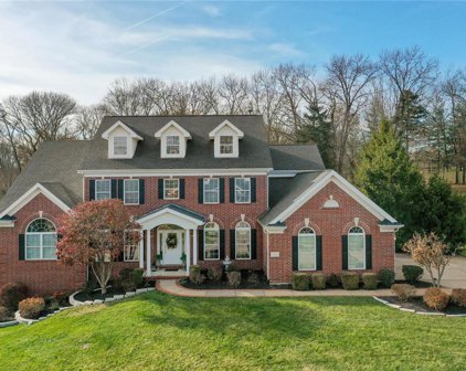1283 Polo Lake  Drive, Ellisville