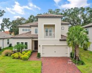 3860 Rose Mallow Drive, Kissimmee image