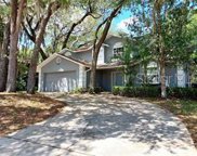 14912 Lake Forest Drive, Lutz image