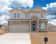 155 Crossridge Way, Pell City image