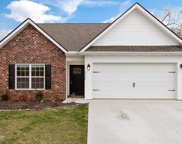 3728 Tulip Row Way, Knoxville image
