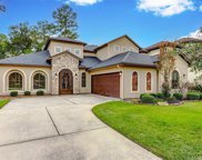 7519 Faldo Drive, Spring image