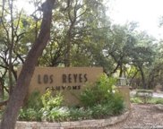 11006 Reyes Canyons, Helotes image