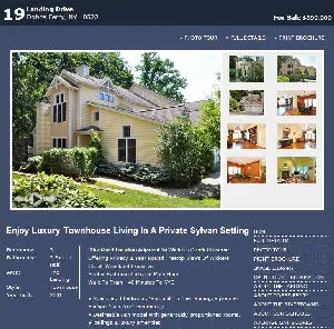 19LandingDr_com_-_Screenshot_2_JPG_Cropped_300_x_296.jpg
