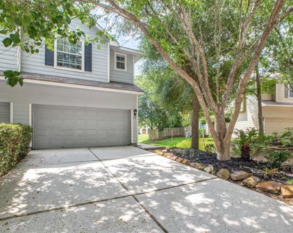 71 Summerhaze Circle, The Woodlands