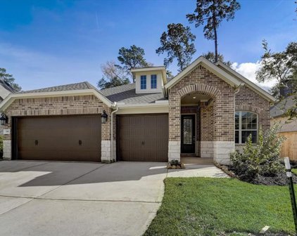 106 Coxcomb Court, Conroe