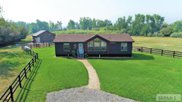 1119 Hwy 28, Salmon image