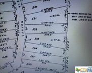 1844, 1858 Cattail, Canyon Lake image