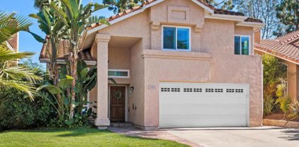 3469 Camino Valencia, Carlsbad