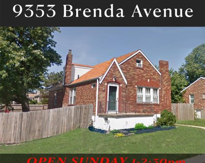 9353 Brenda  Avenue, St Louis