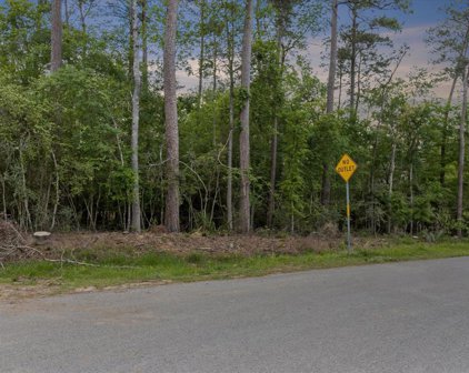Lot 40 Carriage Hills West, Conroe