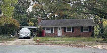 4134 Teton Pl, Alexandria