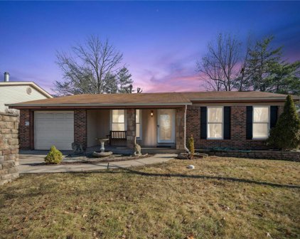 314 Whitehall  Drive, Manchester