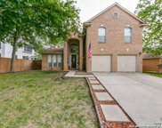 217 Turkey Tree, Cibolo image