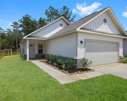 11703 Eclipse Drive, Willis
