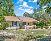 1148 Pine Island Rd., Myrtle Beach image