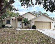129 Imperial Oak Court, Davenport image