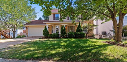 1406 Oakhall Manor  Court, Ballwin