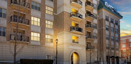 50 N Plum Grove Road Unit #201E, Palatine