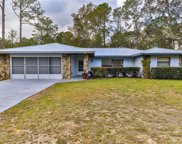 10280 N Quarry Drive, Dunnellon image