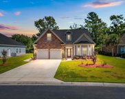 164 Swallowtail Ct., Little River image