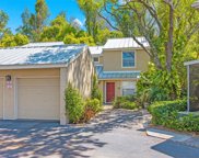 3402 Cypress Head Court, Tampa image
