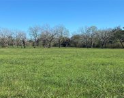 0000 S Hwy 36, Brazoria image