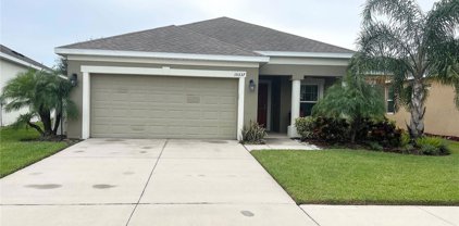 10537 Park Meadowbrooke Drive, Riverview