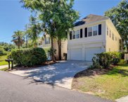 Hilton Head Island image