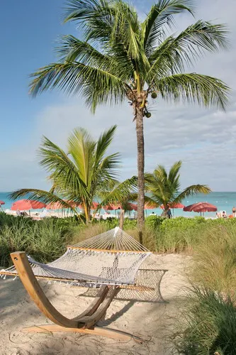 Retirement_7_-_Hammock.jpg
