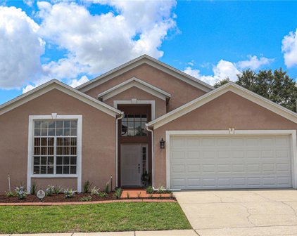 4101 Copper Canyon Blvd, Valrico