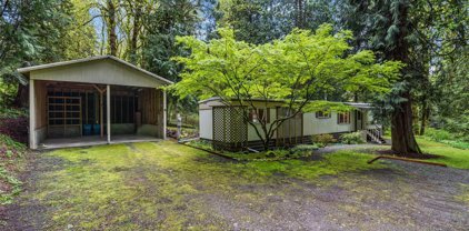 24703 SE Tiger Mountain Road, Issaquah