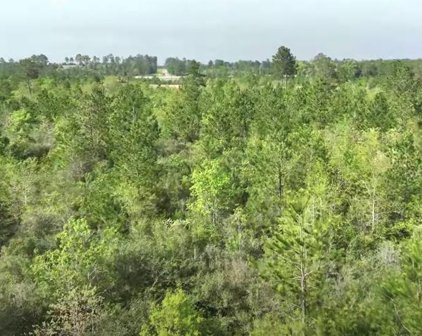 0150 SH 249, Navasota