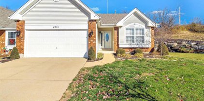 4501 Von Talge Meadows  Court, St Louis
