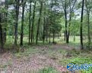 2.45 ACRE LOT 4 Ghost Hill Road, Trinity image