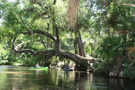 Wekiva River