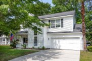 1373 Sassafrass Circle, Mount Pleasant image