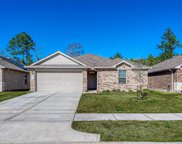 18221 Cascadia Mill Court, New Caney image