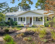 509 Pelzer Drive, Mount Pleasant image