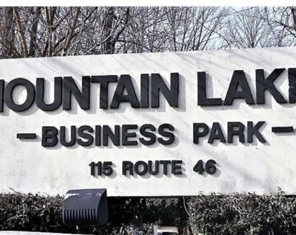 115 Route 46, Mountain Lakes Boro