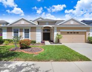 11514 Harlan Eddy Court, Riverview image