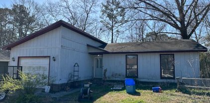 222 Braly Drive, Summerville