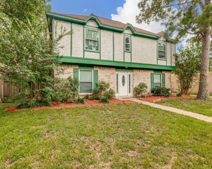 6915 River Mill Drive, Spring