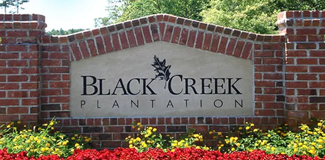 Homes for Sale in Black Creek Plantation