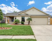 3123 Mustang Meadow Lane, Manvel image