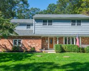 203 Buena Vista Dr, Ringwood Boro image