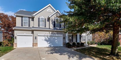 719 Autumnwood Forest  Drive, Lake St Louis