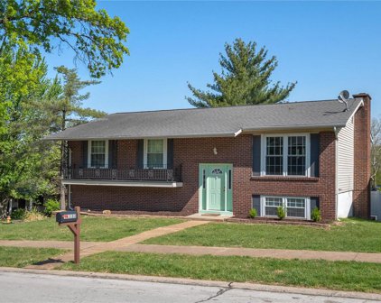 11133 Torigney  Drive, St Louis